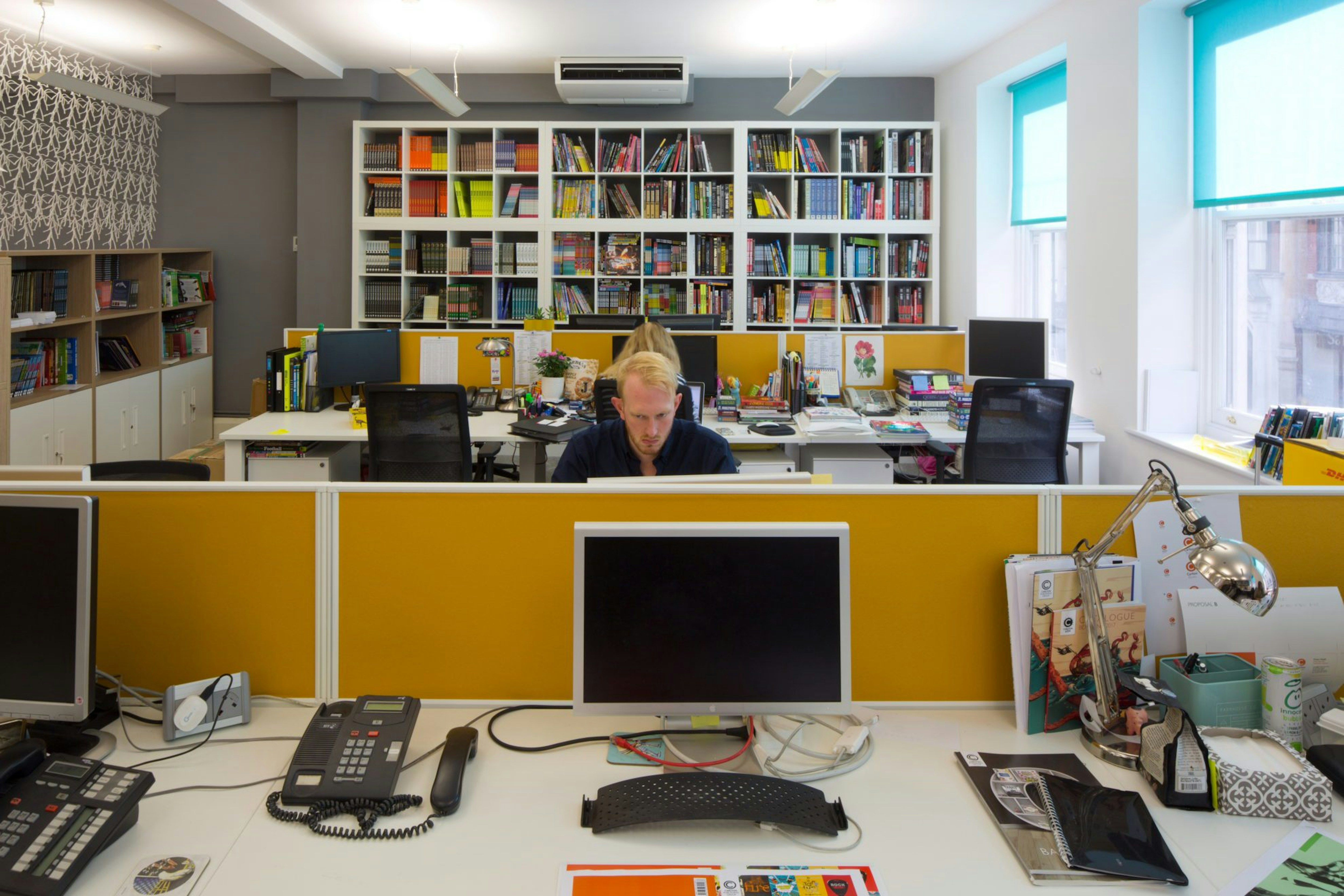 Carlton Books Bespoke Bookshelves