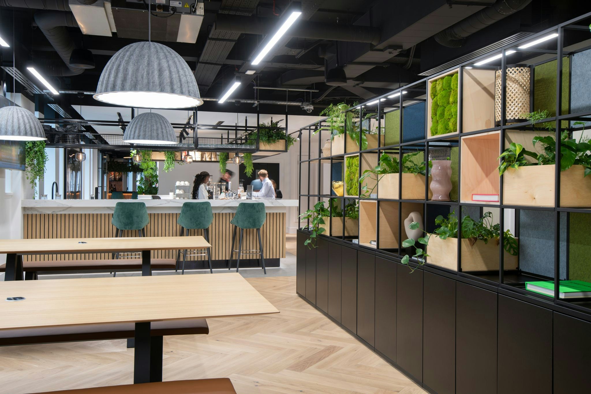 How Can Office Design Help Growing Companies?
