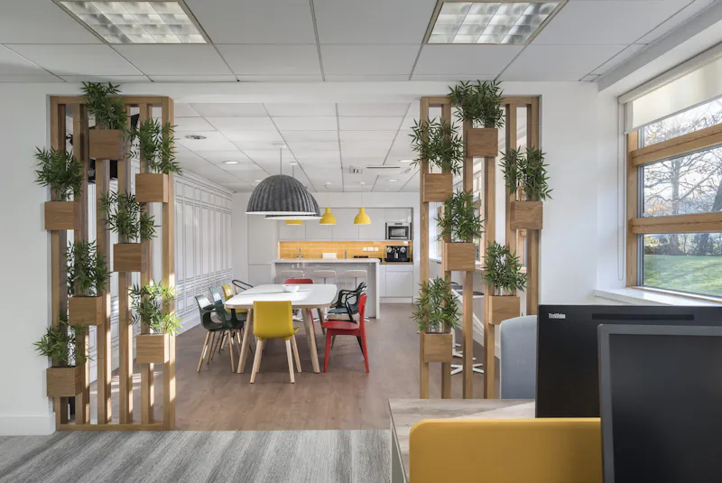 Natural Materials — Santen, St Albans by K2 Space Timber finishes and natural materials throughout the workspace at Santen St Albans by K2 Space