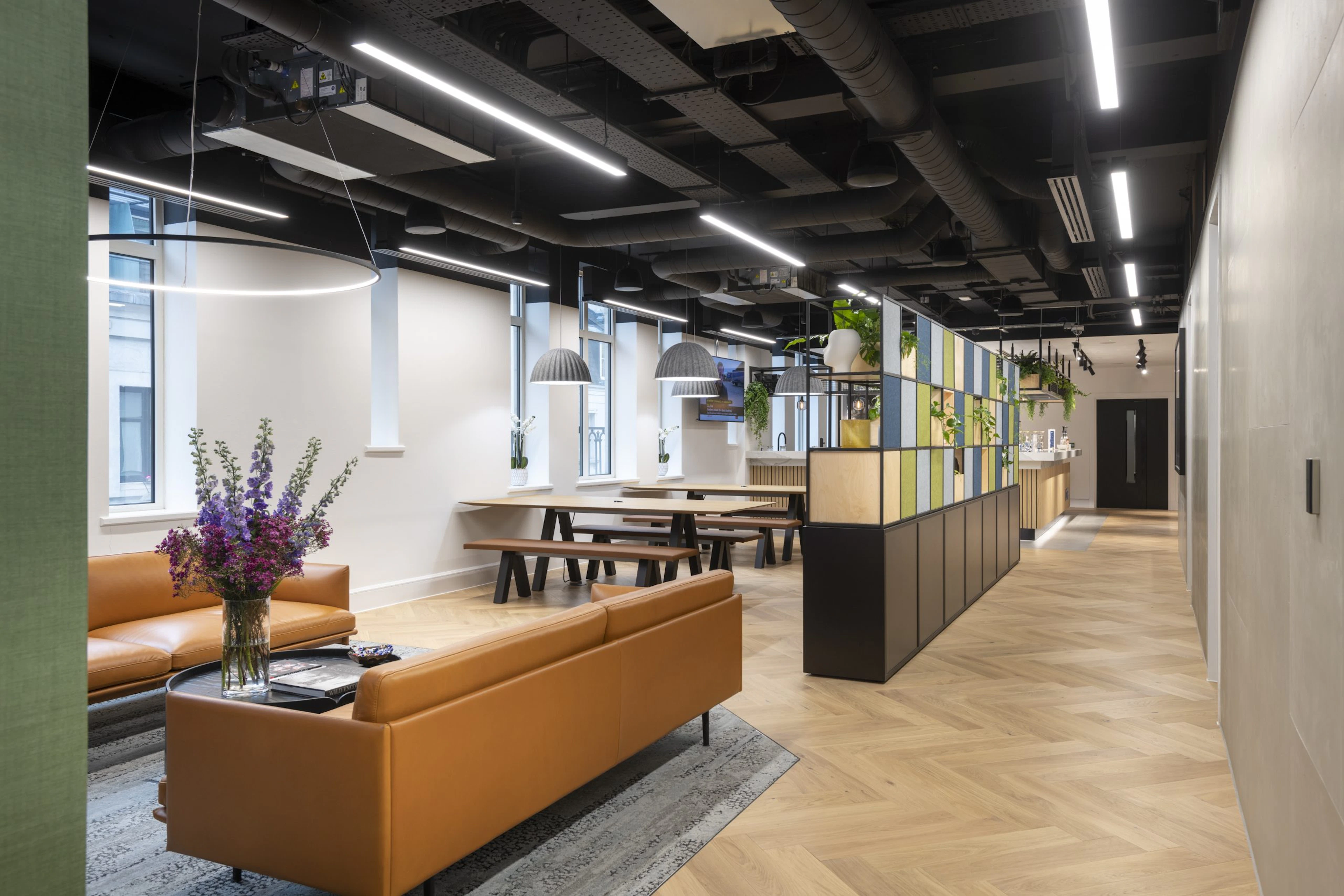 What Exactly is an Office Fit Out? - A Comprehensive Guide