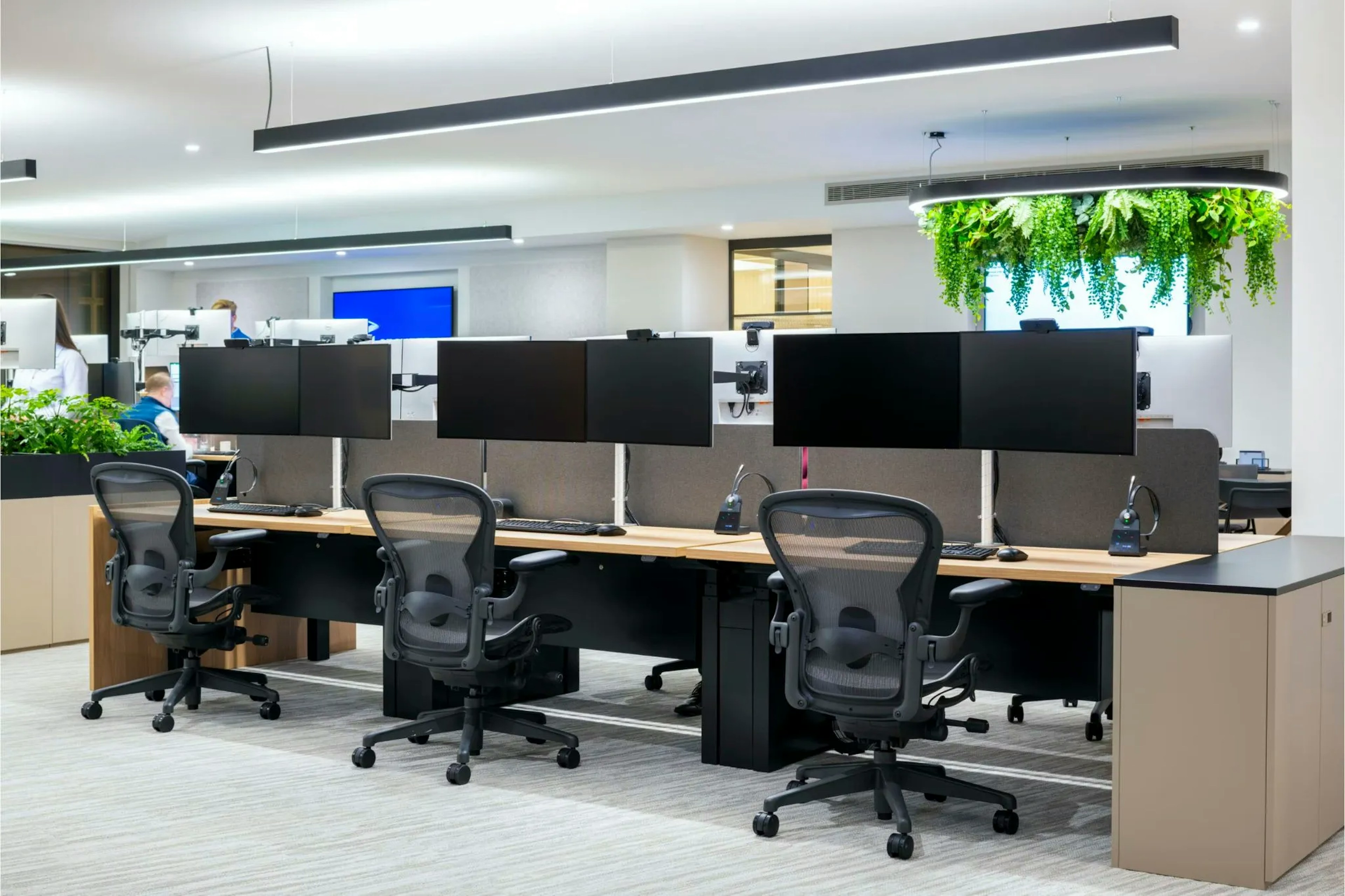Ergonomic MillerKnoll Chairs on Sit Stand Desks